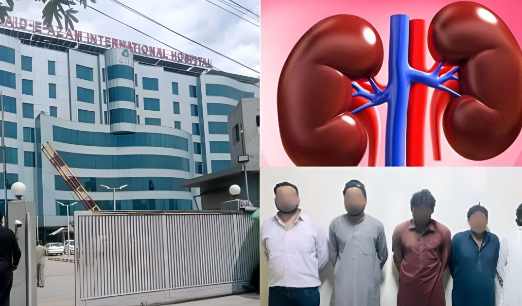 quaid e azam international hospital kidney scandle capitalnewspoint.com