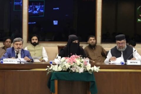Pakistan Accounts Committee Capitalnewspoint.com