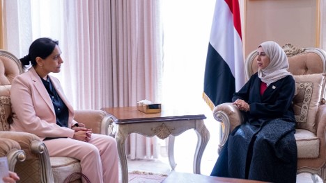 Yemen Demands State Control of All Weapons, Stresses Bab al-Mandab Security Capitalnewspoint.com